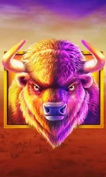 Buffalo King